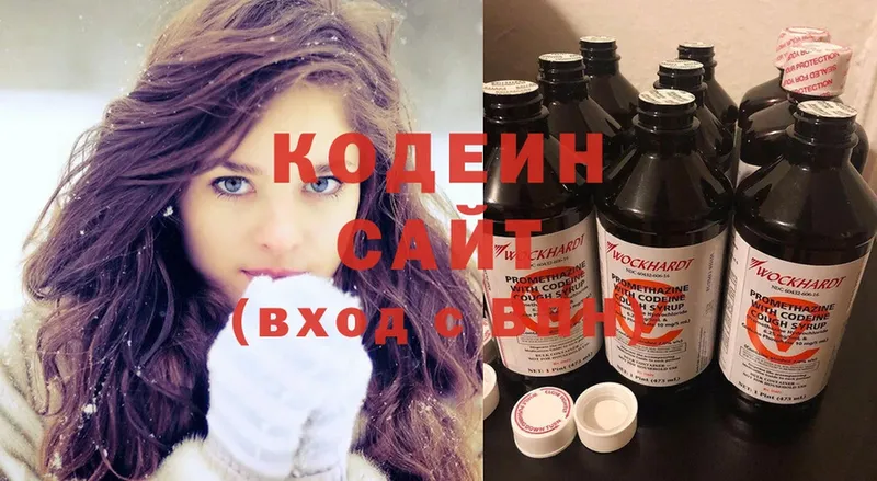 ссылка на мегу маркетплейс  Новодвинск  Кодеиновый сироп Lean напиток Lean (лин) 